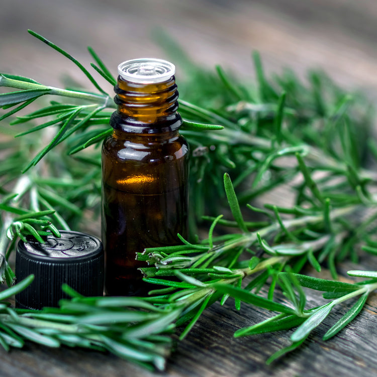 HAND & BODY WASH - ROSEMARY 500ml