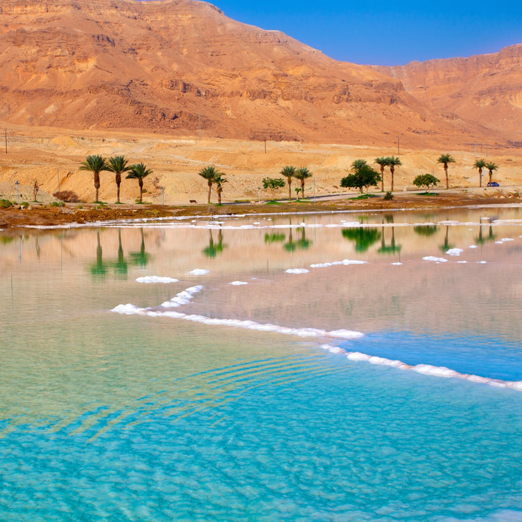 HAND & BODY WASH - PREMIUM DEAD SEA 500ml