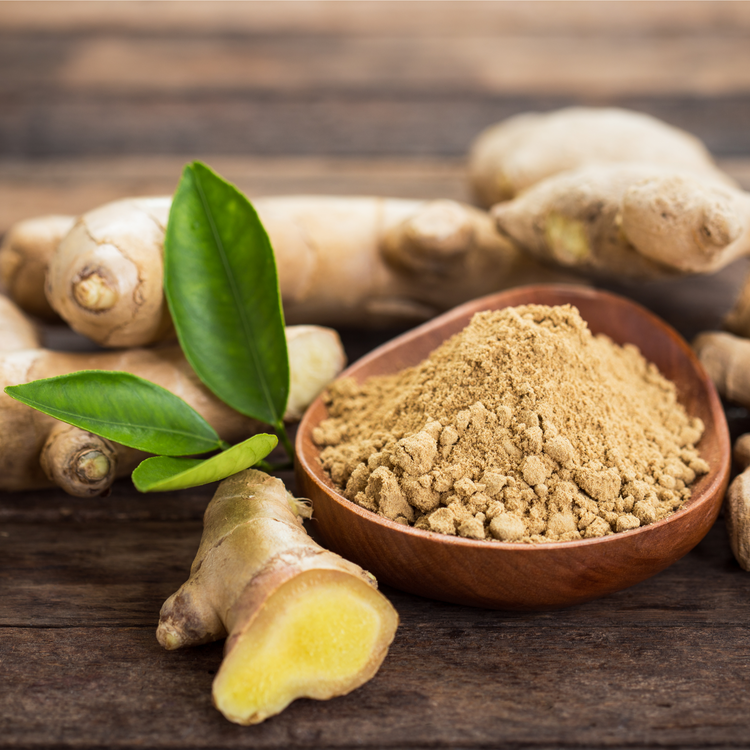 HAND & BODY WASH - AMBROSIA 500ml